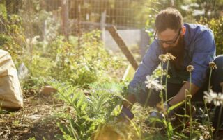Les Jardins De La Divatte Paysagiste Saint Sebastien Sur Loire Creation Jardin