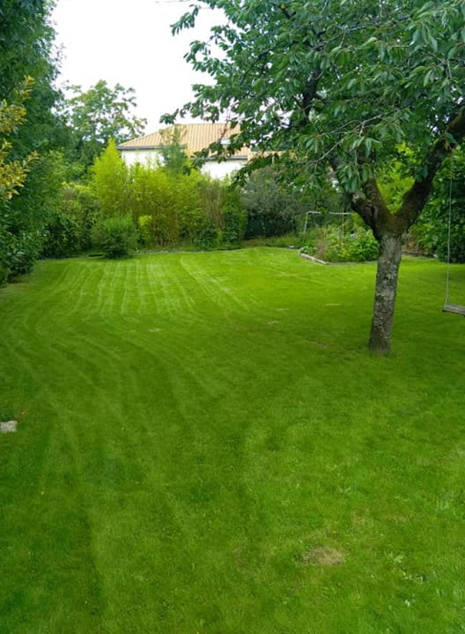 Les Jardins De La Divatte Paysagiste Saint Sebastien Sur Loire Realisations Home 5